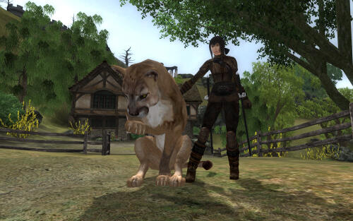 Подробнее о "Sher Ja Lion Companion"