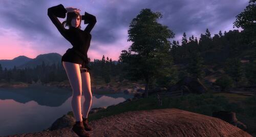 Подробнее о "Colourwheels Sexy Stock Armor & Clothing Replacer"