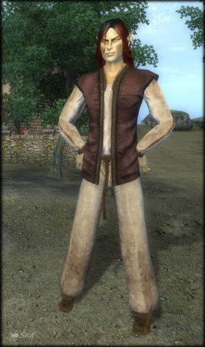 Подробнее о "Robert Male Average SI Stock Clothing And Armor"