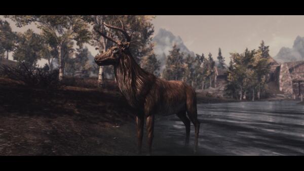 One day in Riften