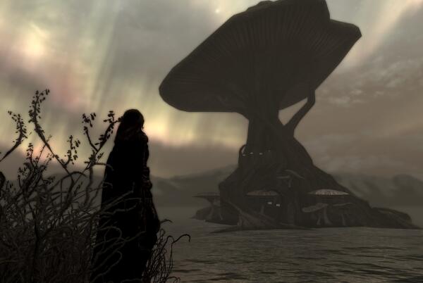 Home, mushroom home ))