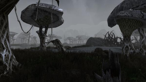 Tamriel Rebuilt