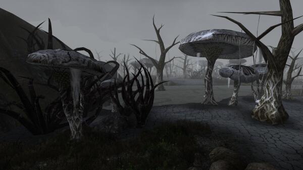 Tamriel Rebuilt