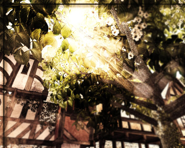 лето[2]