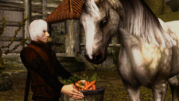 Oblivion 2013 02 15 01 44 35 74