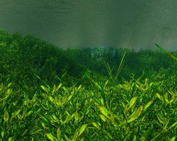 ScreenShot6