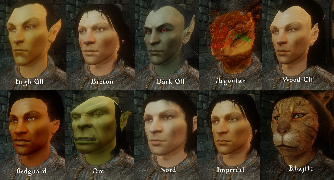Лучшие лица для Oblivion