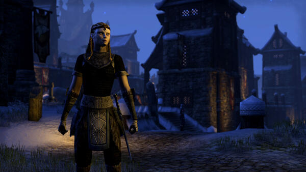 The Elder Scrolls Online скриншот