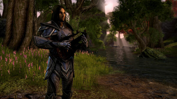 The Elder Scrolls Online скриншот