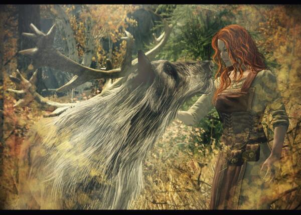 Forest Tale