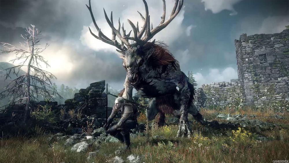 image_the_witcher_3_wild_hunt-22282-2651_0019.jpg