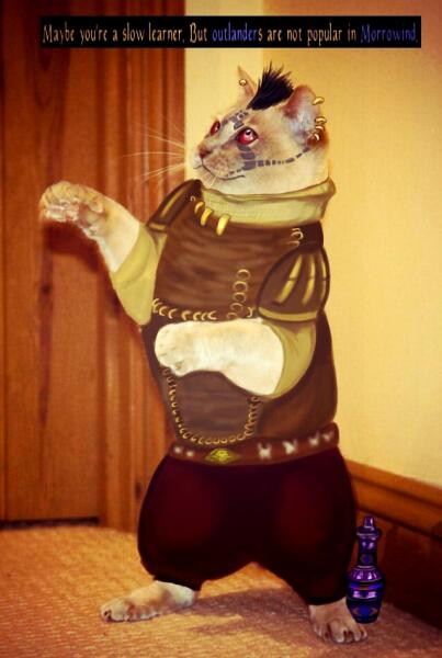 Dunmer cat