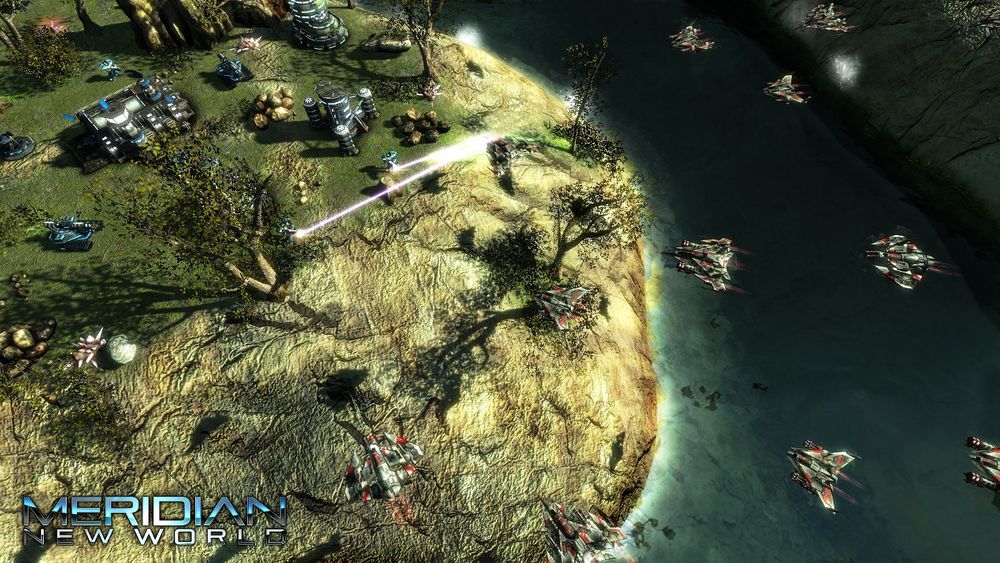 meridian-forest.jpg