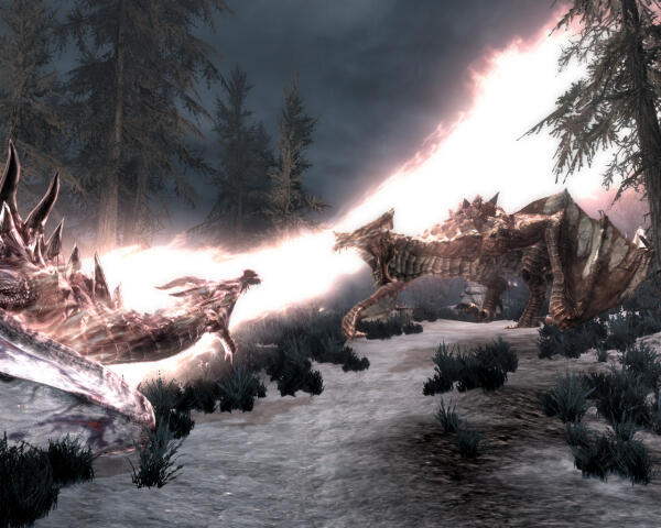 Dragons