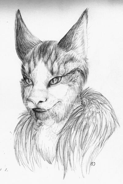 Furball