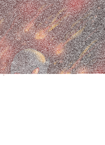 I will keep you safe