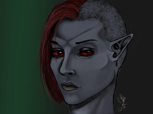 The Elder Scrolls V: Skyrim - Dunmer
