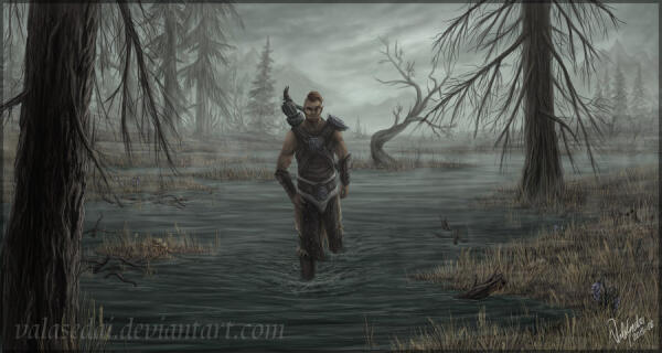 Through the Marshes