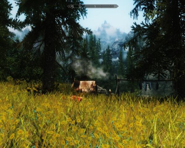 Мой скайрим