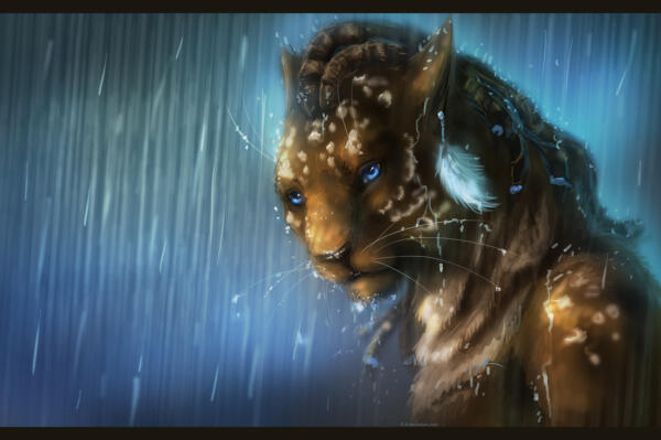 Female Khajiit