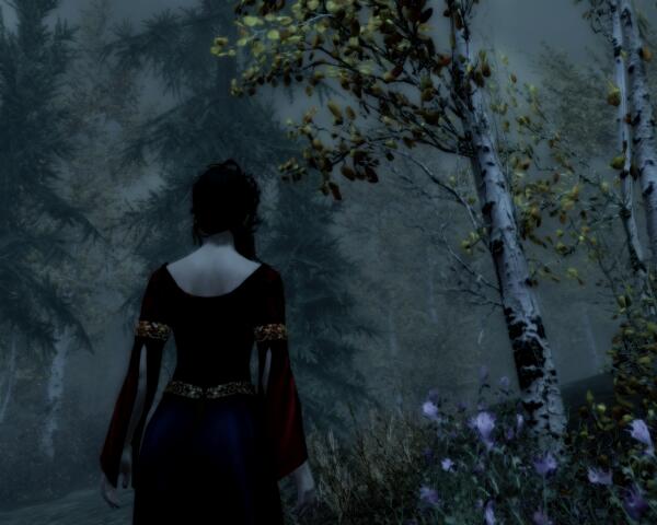ScreenShot57