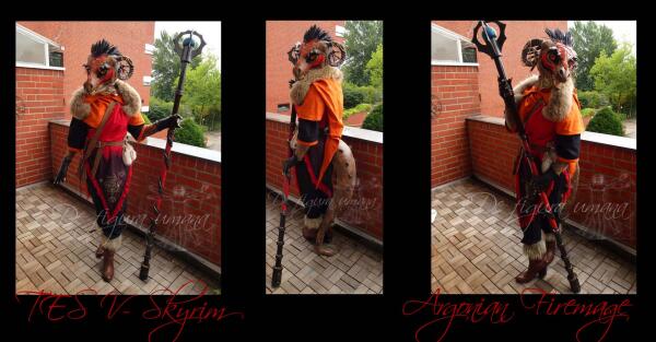 Skyrim- Argonian Firemage