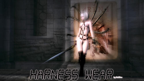 Подробнее о "Harness wear"