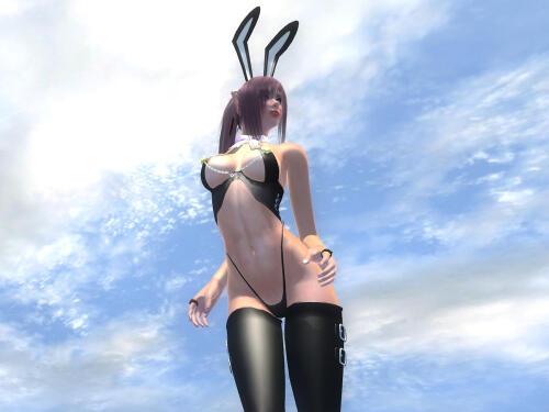 Подробнее о "Bunny Girl Armor"