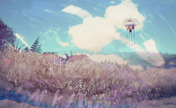 Самка нетча