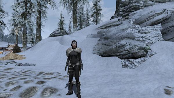 ScreenShot44