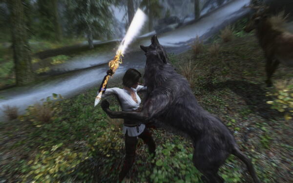 ScreenShot793