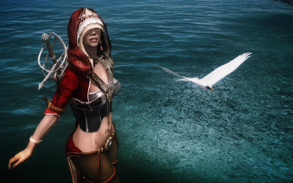 Assassins Creed V. Black Flag