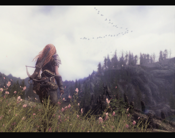 wind