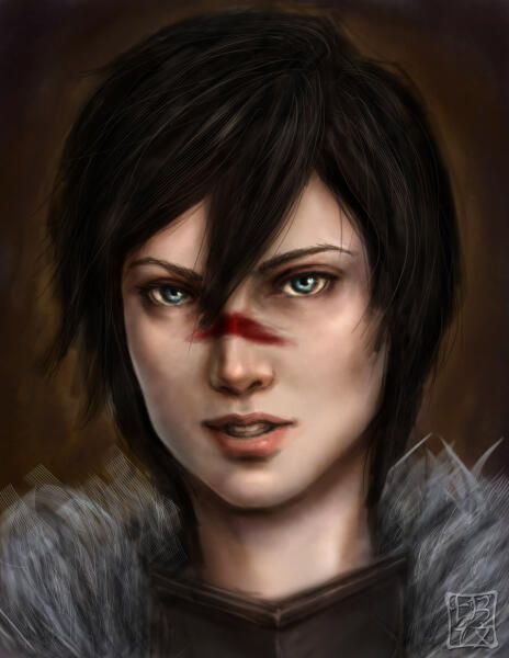 Champion Of Kirkwall