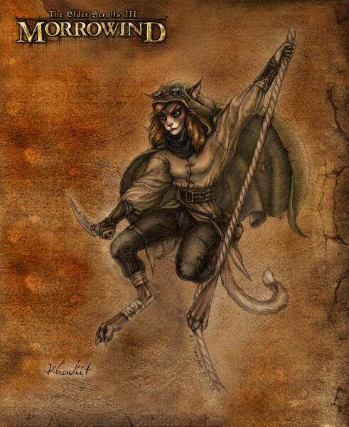 Khajiit flying