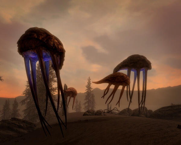 Morrowind memories - нетчи