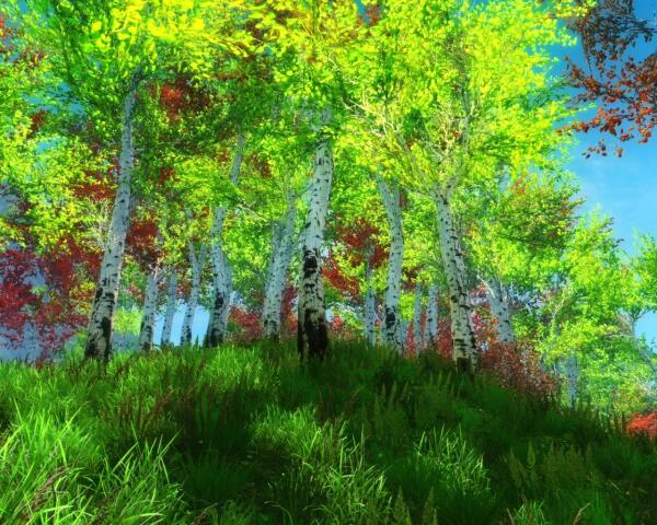 ScreenShot  01