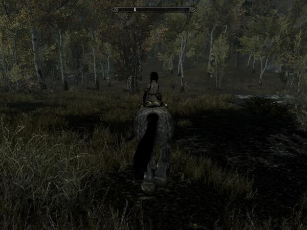 ScreenShot49