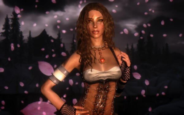 TESV 2014 02 16 04 04 11 52