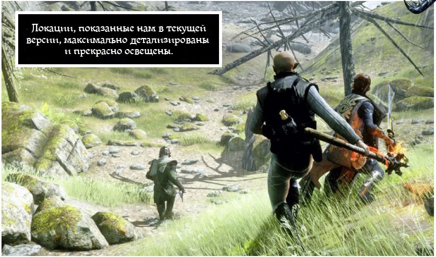 dai_6.jpg