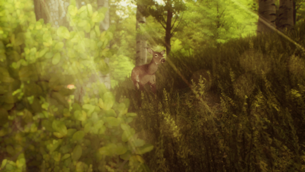 green02