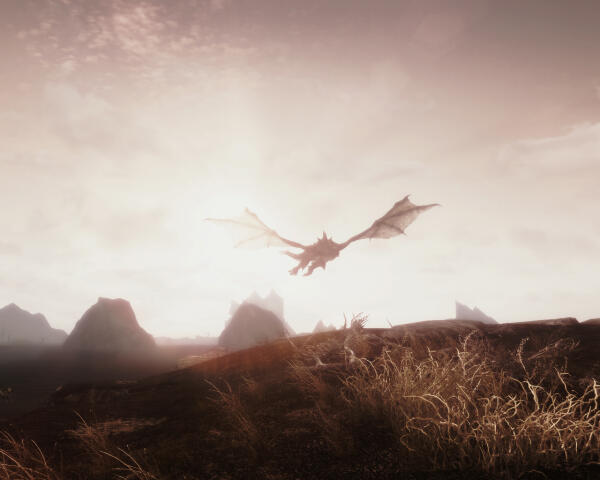 ScreenShot15
