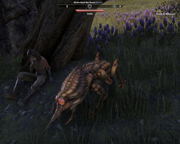 TESO_Nix-Hound