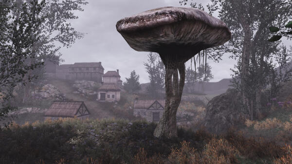 Skywind