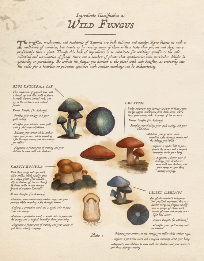 TESO_book3_2.jpg