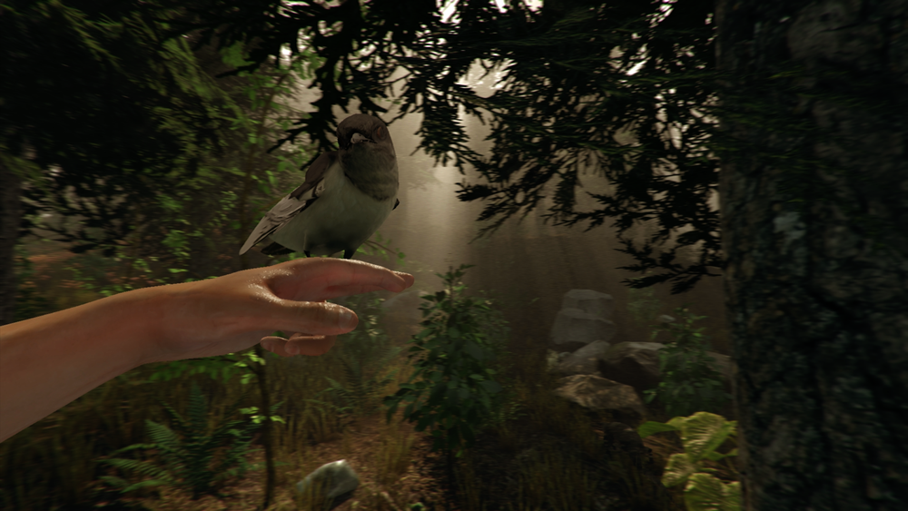 theforest-birdy.png