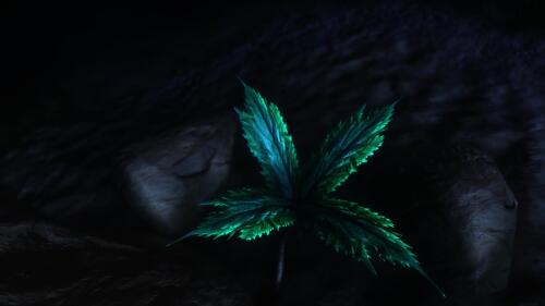 Подробнее о "Nirnroot retexture"