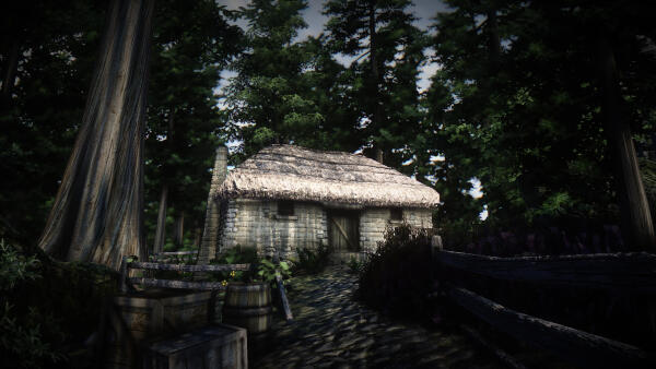 Home