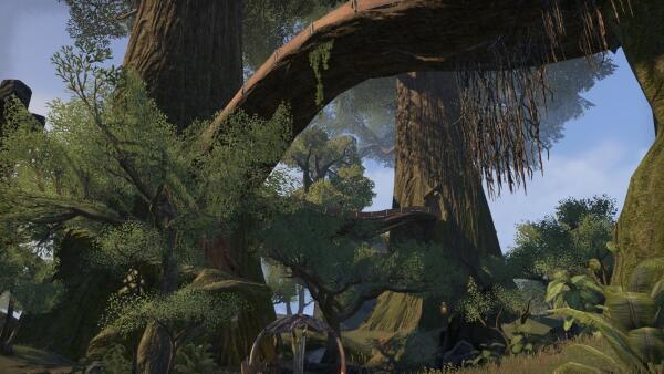 Woodhearth