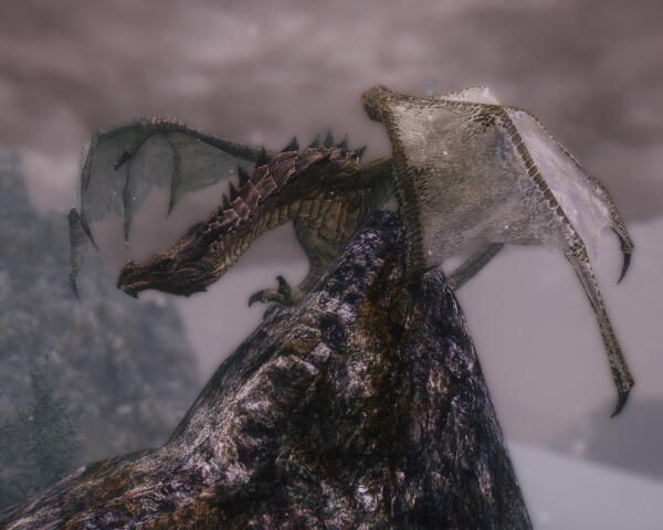 ScreenShot5497